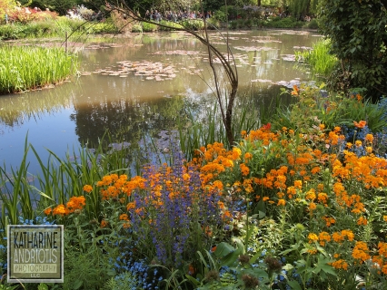 Wildflowers and Lily Pads at Monet's Gardens in Giverny, France